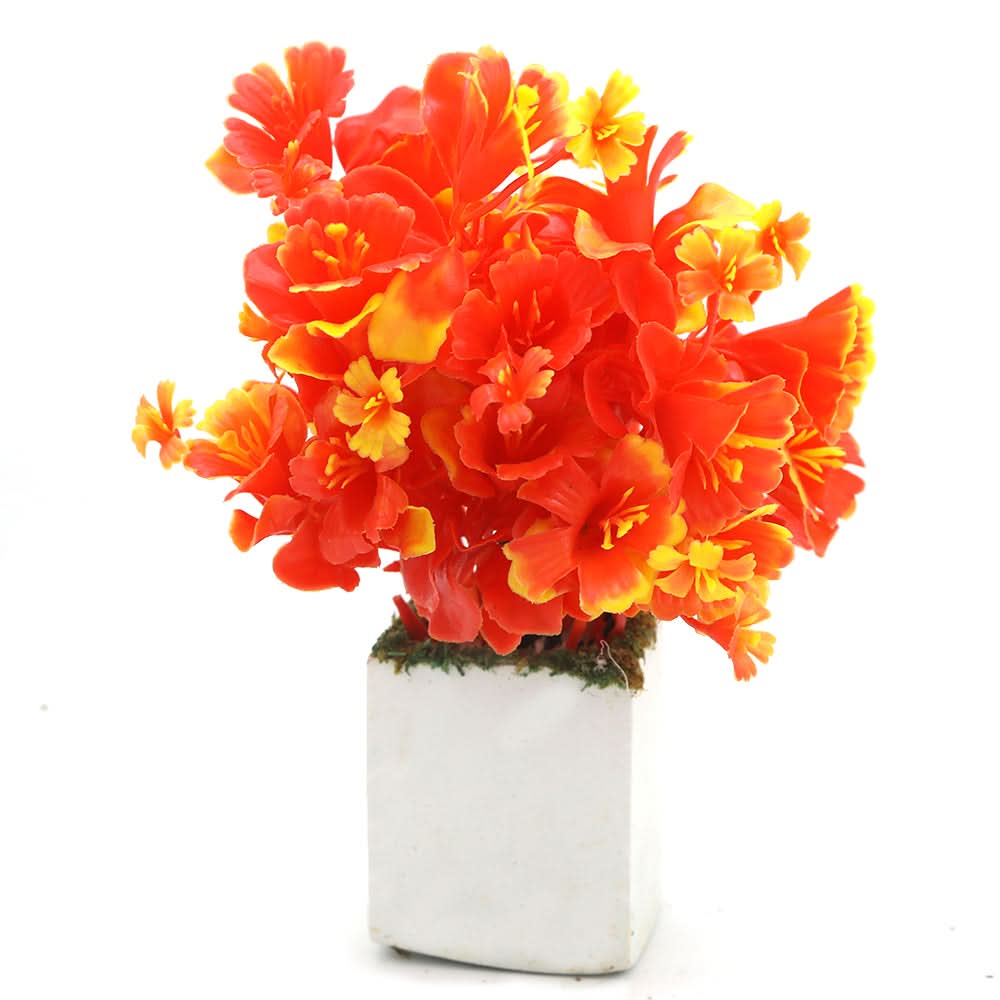 Bonsai Mini Flower Pot - Q, Home & Lifestyle, Decoration, Chase Value, Chase Value