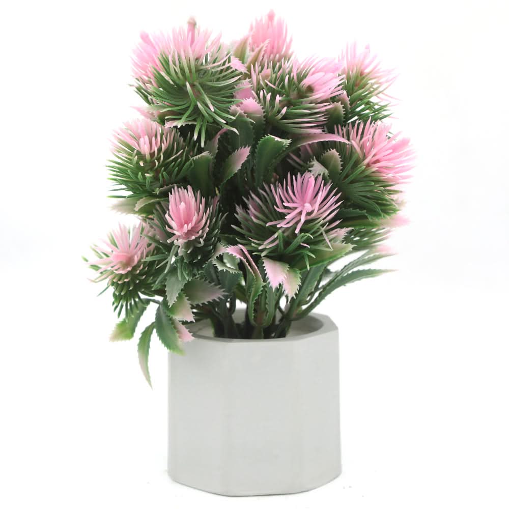 Bonsai Mini Flower Pot - M, Home & Lifestyle, Decoration, Chase Value, Chase Value