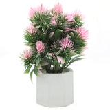 Bonsai Mini Flower Pot - M, Home & Lifestyle, Decoration, Chase Value, Chase Value