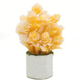 Bonsai Mini Flower Pot - I, Home & Lifestyle, Decoration, Chase Value, Chase Value