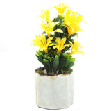Bonsai Mini Flower Pot - L, Home & Lifestyle, Decoration, Chase Value, Chase Value
