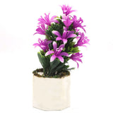 Bonsai Mini Flower Pot - F, Home & Lifestyle, Decoration, Chase Value, Chase Value