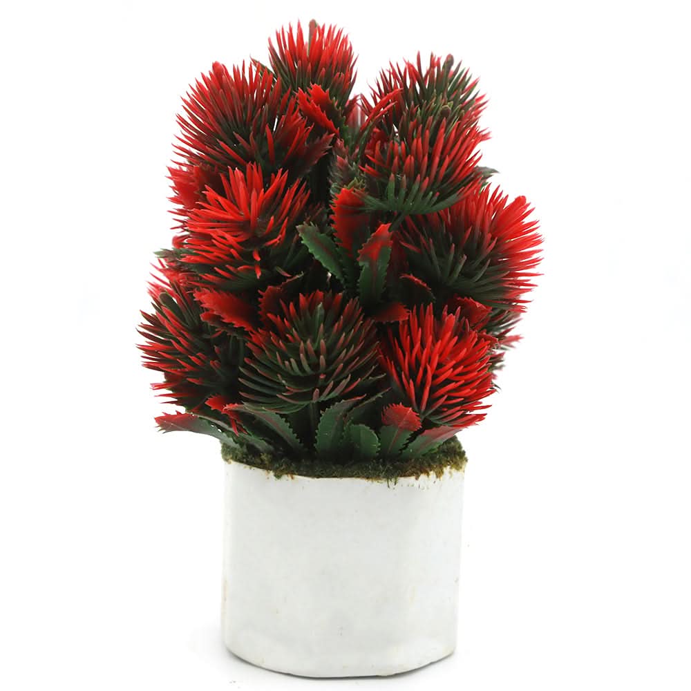 Bonsai Mini Flower Pot - O, Home & Lifestyle, Decoration, Chase Value, Chase Value