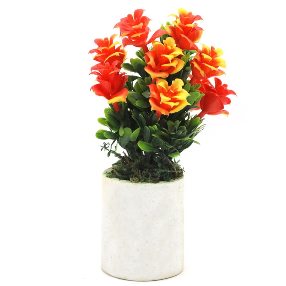 Bonsai Mini Flower Pot - D, Home & Lifestyle, Decoration, Chase Value, Chase Value