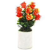 Bonsai Mini Flower Pot - D, Home & Lifestyle, Decoration, Chase Value, Chase Value