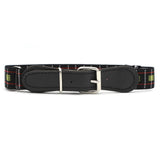 Kids Stretchable Belt - Multi, Kids, Belts And Gallace, Chase Value, Chase Value