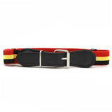 Kids Stretchable Belt - Multi, Kids, Belts And Gallace, Chase Value, Chase Value