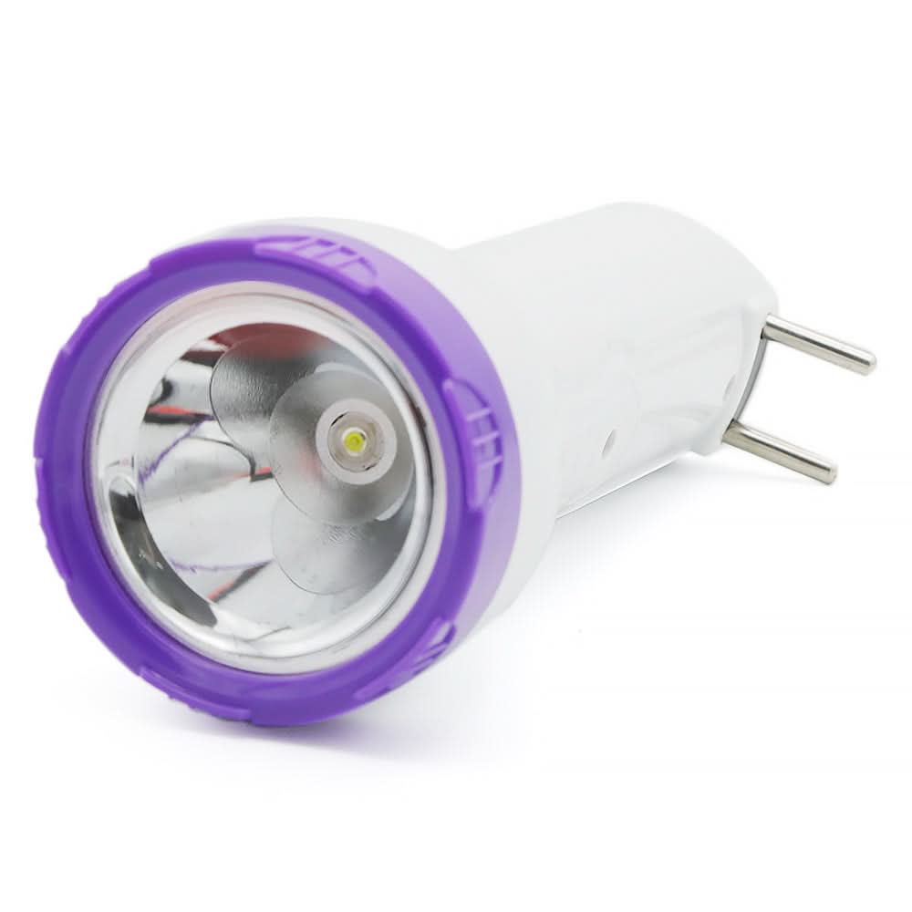 DP Torch Light LED-9092 - Purple, Home & Lifestyle, Emergency Lights & Torch, Chase Value, Chase Value