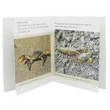 Animals And Plants Learning Books - Multi, Kids, Kids Colouring Books, Chase Value, Chase Value