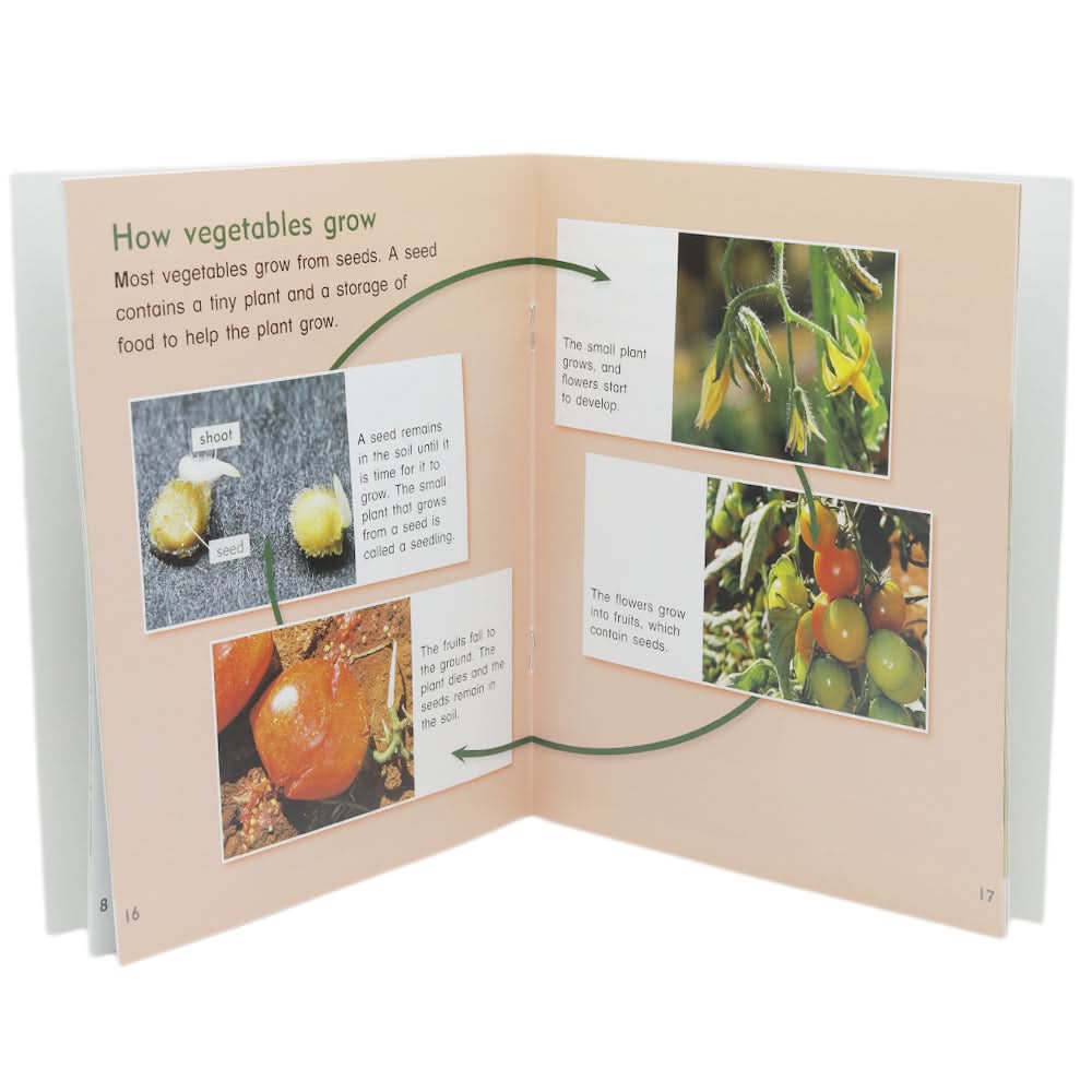 Animals And Plants Learning Books - Multi, Kids, Kids Colouring Books, Chase Value, Chase Value