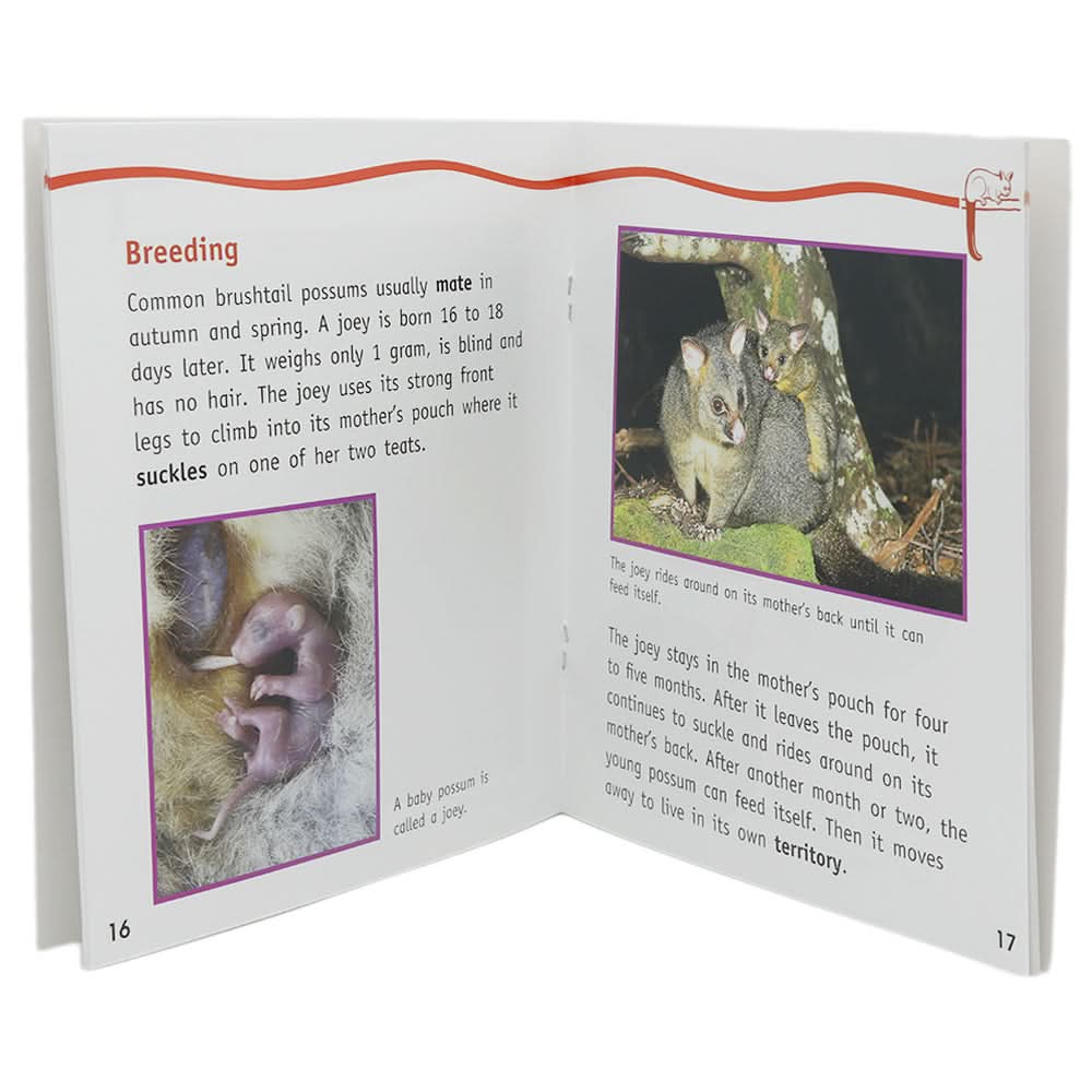 Animals And Plants Learning Books - Multi, Kids, Kids Colouring Books, Chase Value, Chase Value