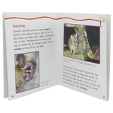 Animals And Plants Learning Books - Multi, Kids, Kids Colouring Books, Chase Value, Chase Value