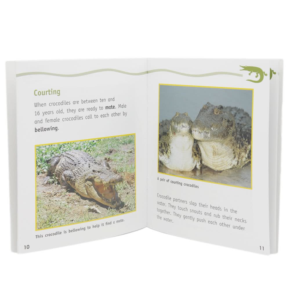 Animals And Plants Learning Books - Multi, Kids, Kids Colouring Books, Chase Value, Chase Value