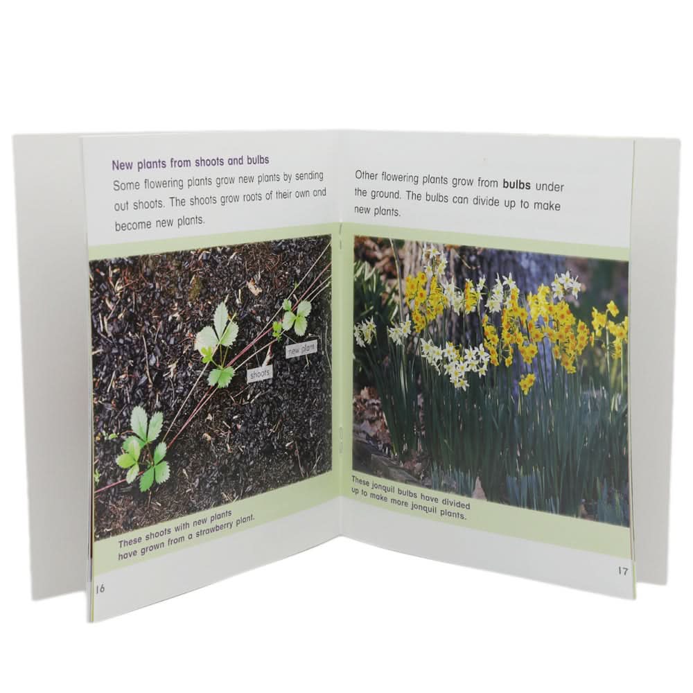 Animals And Plants Learning Books - Multi, Kids, Kids Colouring Books, Chase Value, Chase Value