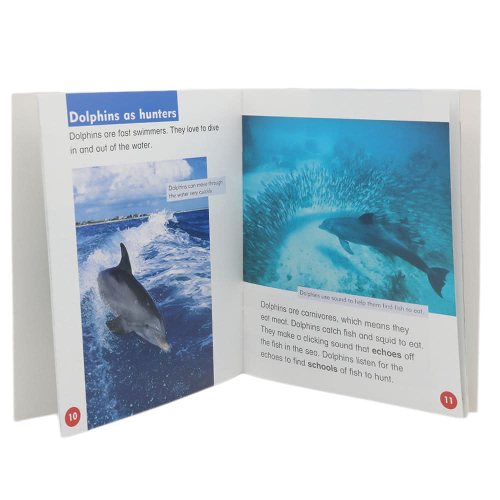 Animals And Plants Learning Books - Multi, Kids, Kids Colouring Books, Chase Value, Chase Value