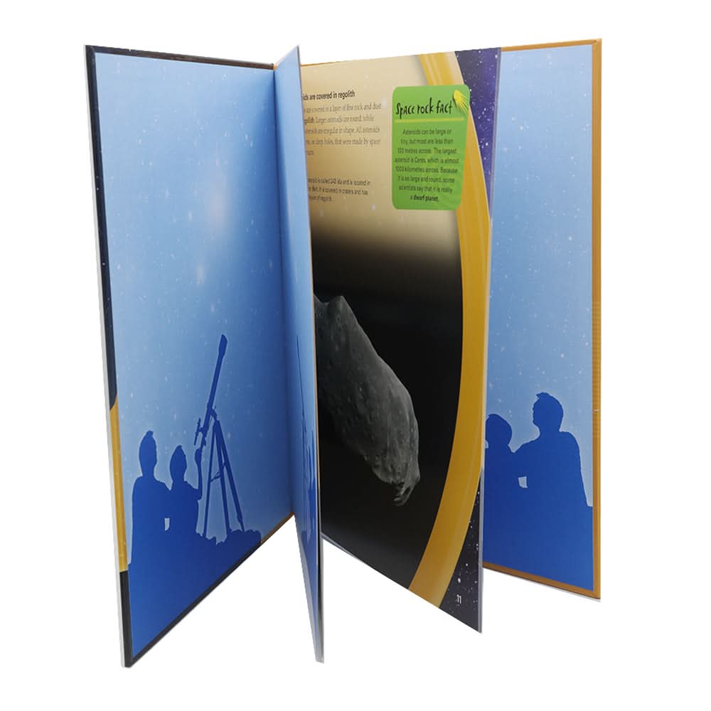 Comets Asteroids Aand Meteoroids, Kids, Kids Story Books, Chase Value, Chase Value