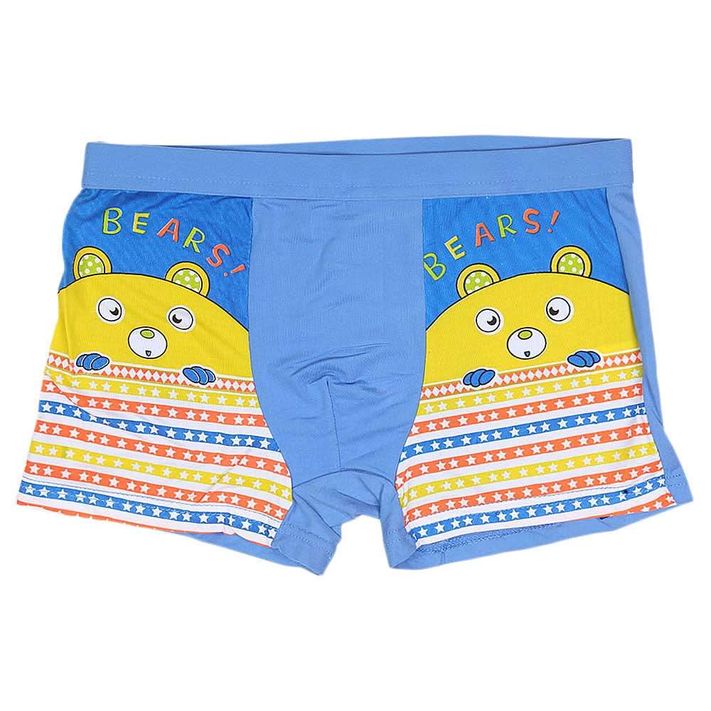 Boys Boxer - Blue - test-store-for-chase-value