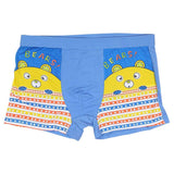 Boys Boxer - Blue - test-store-for-chase-value