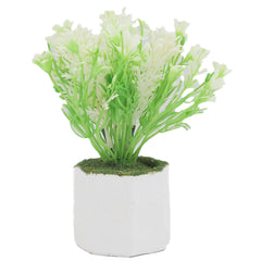 Bonsai Flower Pot Mini - D, Home & Lifestyle, Decoration, Chase Value, Chase Value