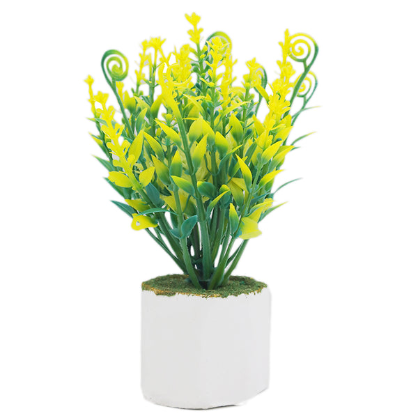 Bonsai Flower Pot Mini - E, Home & Lifestyle, Decoration, Chase Value, Chase Value