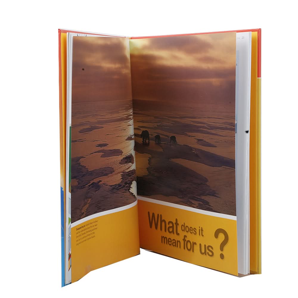 Global Issues Global Warmings, Kids, Kids Story Books, Chase Value, Chase Value
