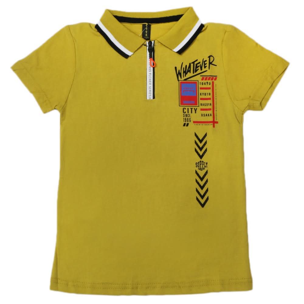 Boys Half Sleeves Polo T-Shirt - Light Green, Boys T-Shirts, Chase Value, Chase Value