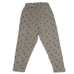 Girls Tight - Grey, Girls Tights Leggings & Pajama, Chase Value, Chase Value