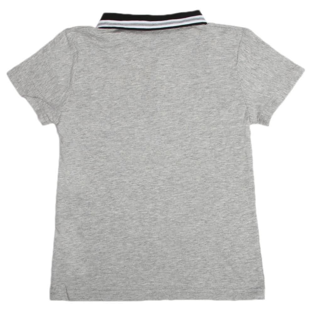 Boys Half Sleeves Polo T-Shirt - Grey, Boys T-Shirts, Chase Value, Chase Value