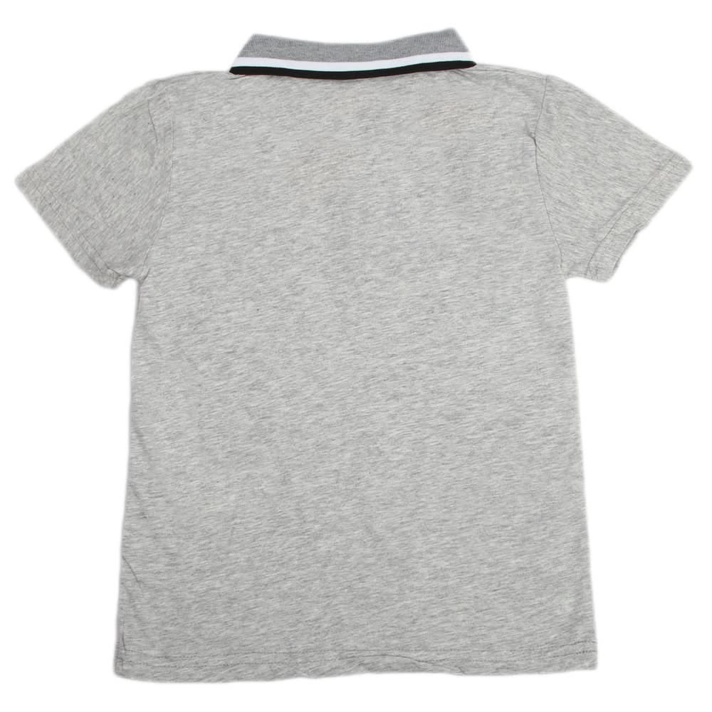 Boys Half Sleeves Polo T-Shirt - Grey, Boys T-Shirts, Chase Value, Chase Value