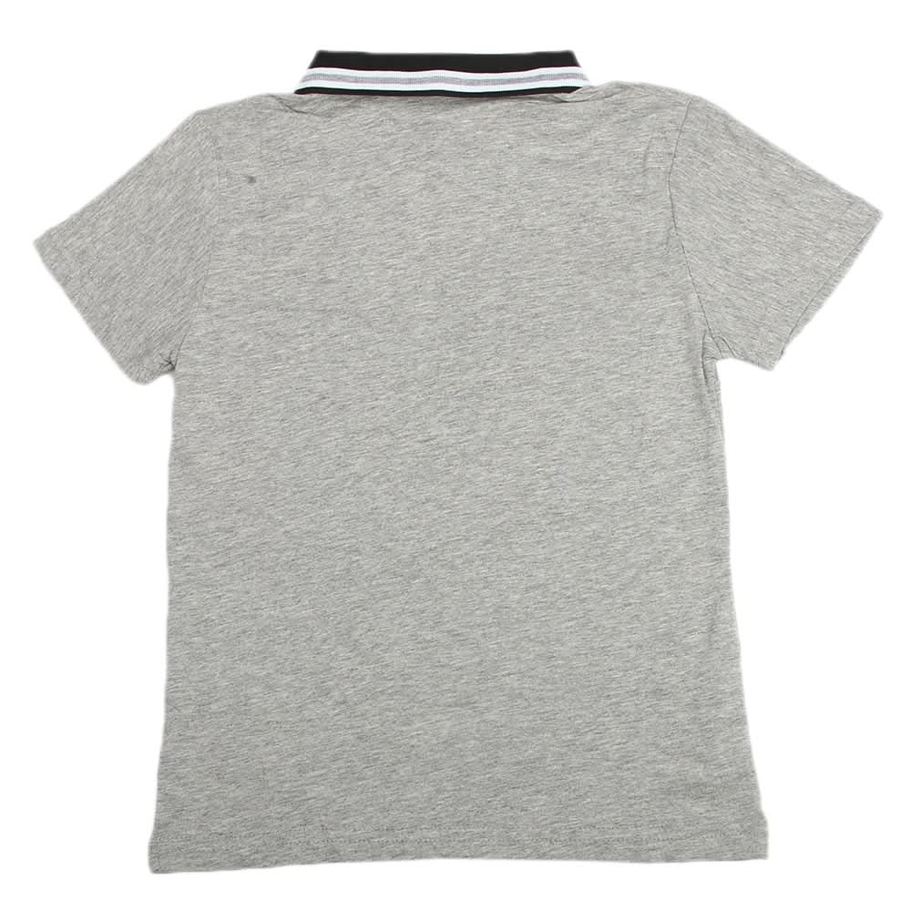 Boys Half Sleeves Polo T-Shirt - Grey, Boys T-Shirts, Chase Value, Chase Value