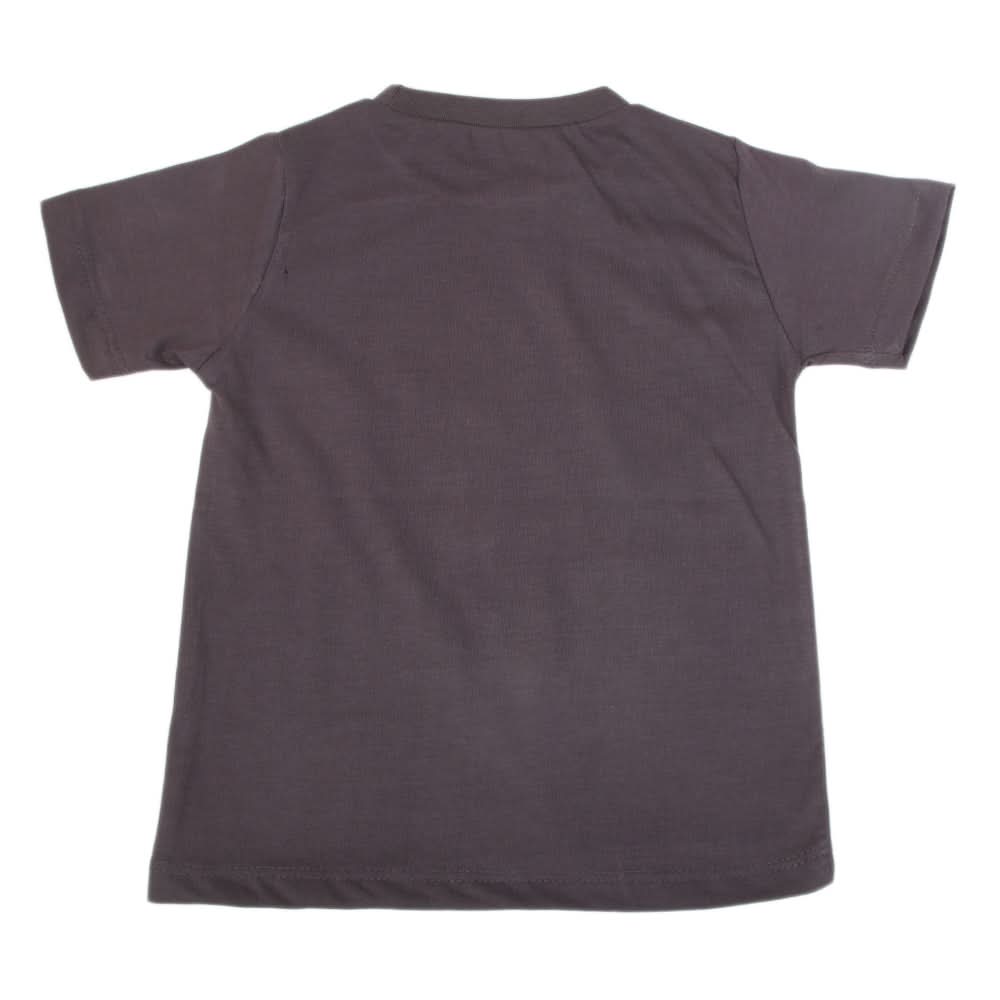 Boys Printed Half Sleeves T-Shirt 4728 - Dark Grey, Kids, Boys T-Shirts, Chase Value, Chase Value