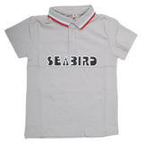 Boys Half Sleeves Polo T-Shirt - Grey, Kids, Boys T-Shirts, Chase Value, Chase Value