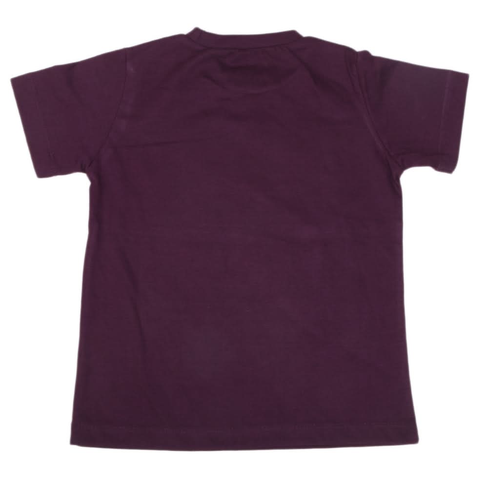 Boys Half Sleeves Jersey T-Shirt - Purple, Kids, Boys T-Shirts, Chase Value, Chase Value