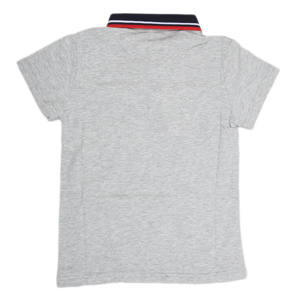 Boys Half Sleeves Polo T-Shirt - Grey, Kids, Boys T-Shirts, Chase Value, Chase Value