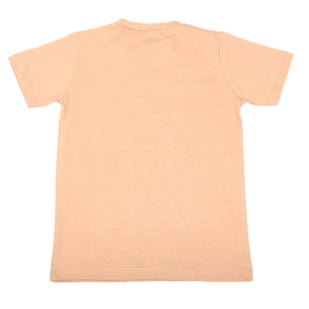 Boys Half Sleeves T-Shirt 3982 - Light Brown, Kids, Boys T-Shirts, Chase Value, Chase Value