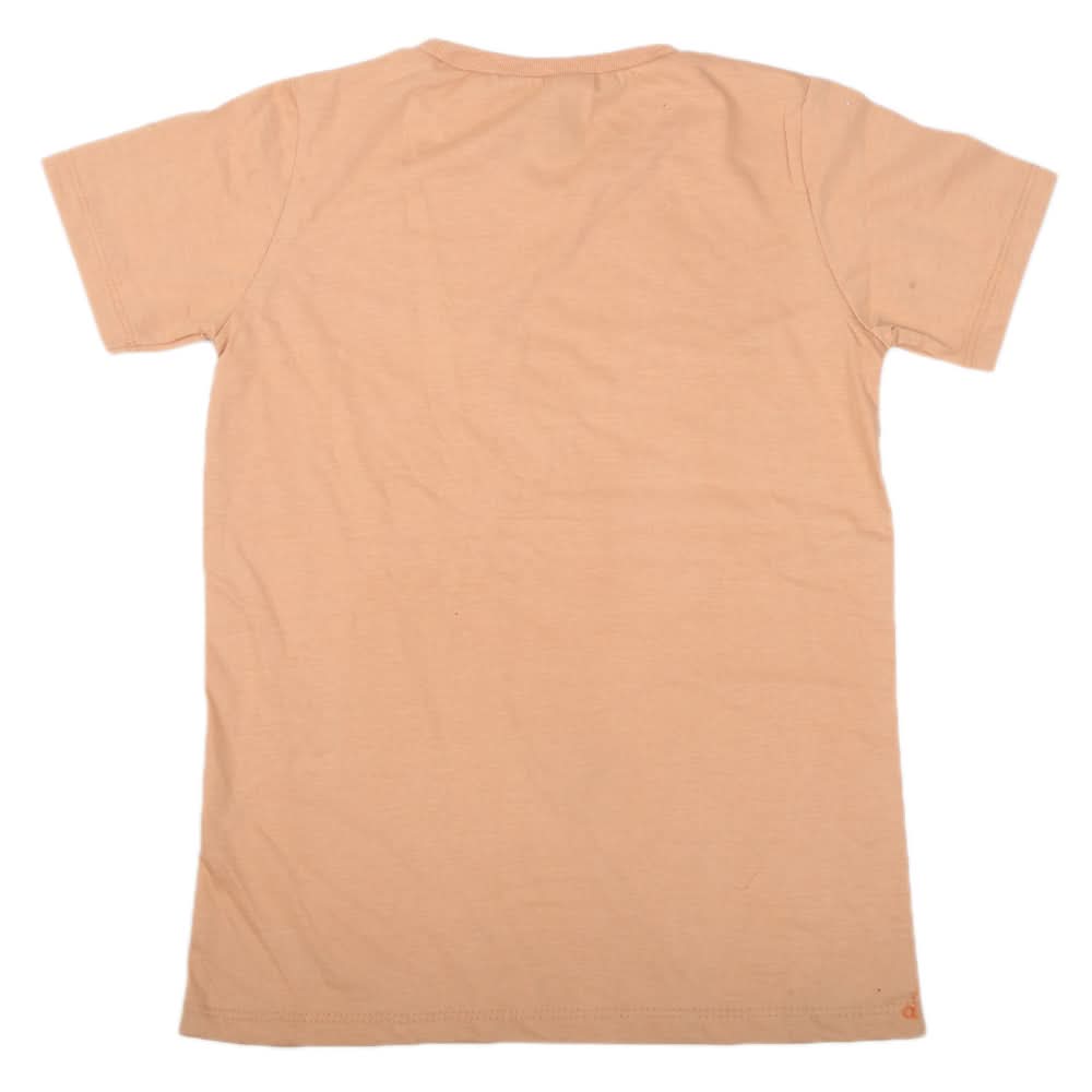 Boys Half Sleeves Jersey T-Shirt 4129 - Light Brown, Kids, Boys T-Shirts, Chase Value, Chase Value