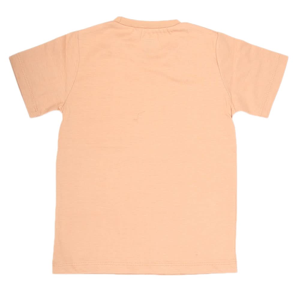Boys Half Sleeves Jersey T-Shirt - Brown, Kids, Boys T-Shirts, Chase Value, Chase Value