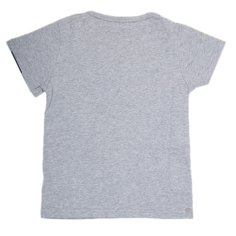 Boys Half Sleeves T-Shirt - Grey, Kids, Boys T-Shirts, Chase Value, Chase Value
