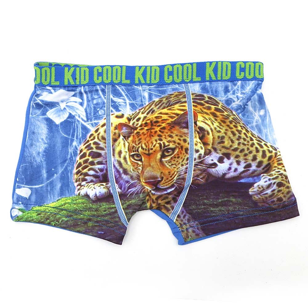 Boys Boxer (RA281) - Blue, Kids, Boys Underwear, Chase Value, Chase Value