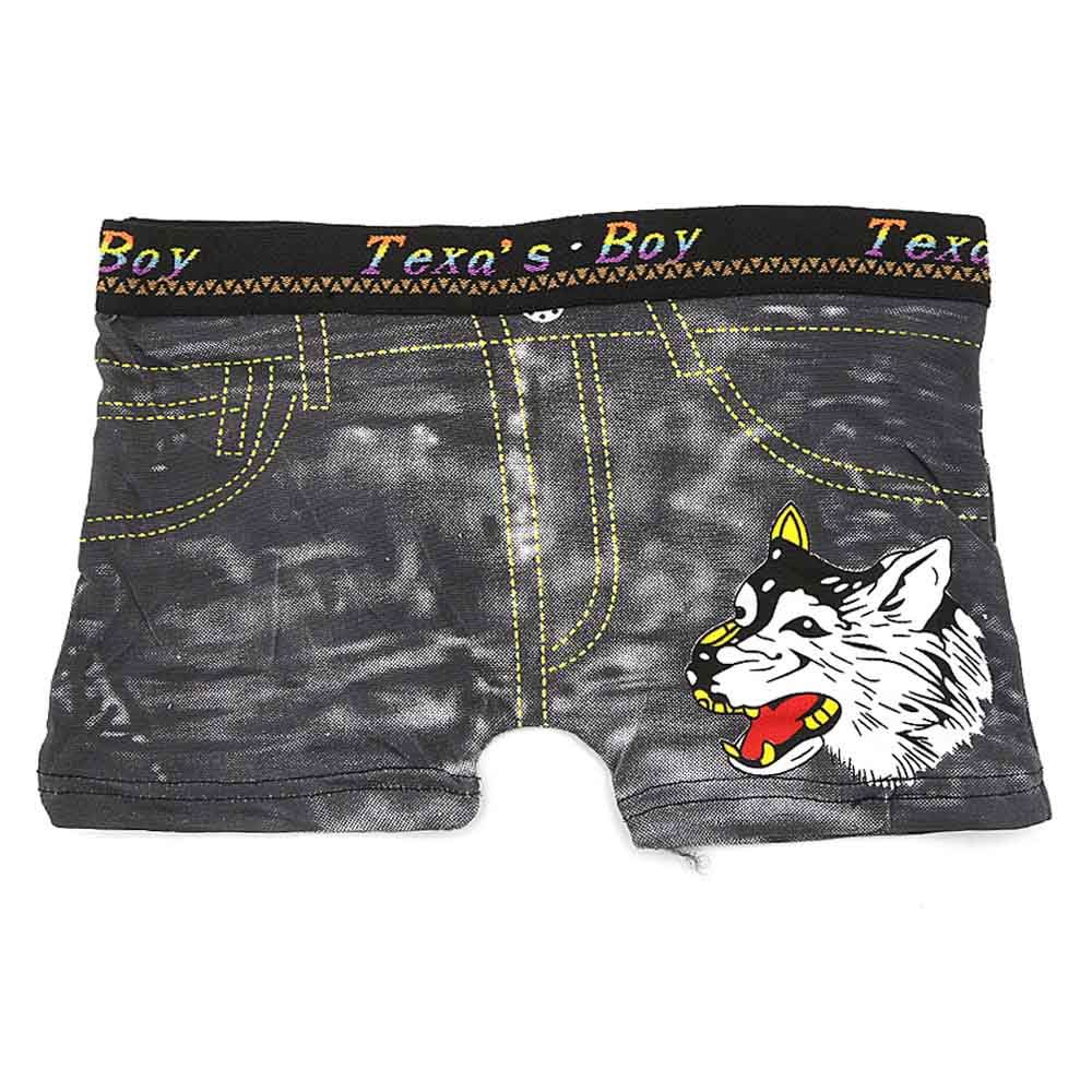 Boys Boxer (RA281) - Dark Grey, Kids, Boys Underwear, Chase Value, Chase Value