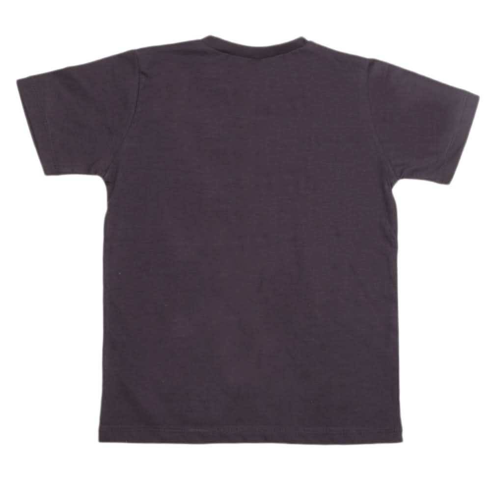 Boys Half Sleeves T-Shirt 3991 - Dark Grey, Kids, Boys T-Shirts, Chase Value, Chase Value