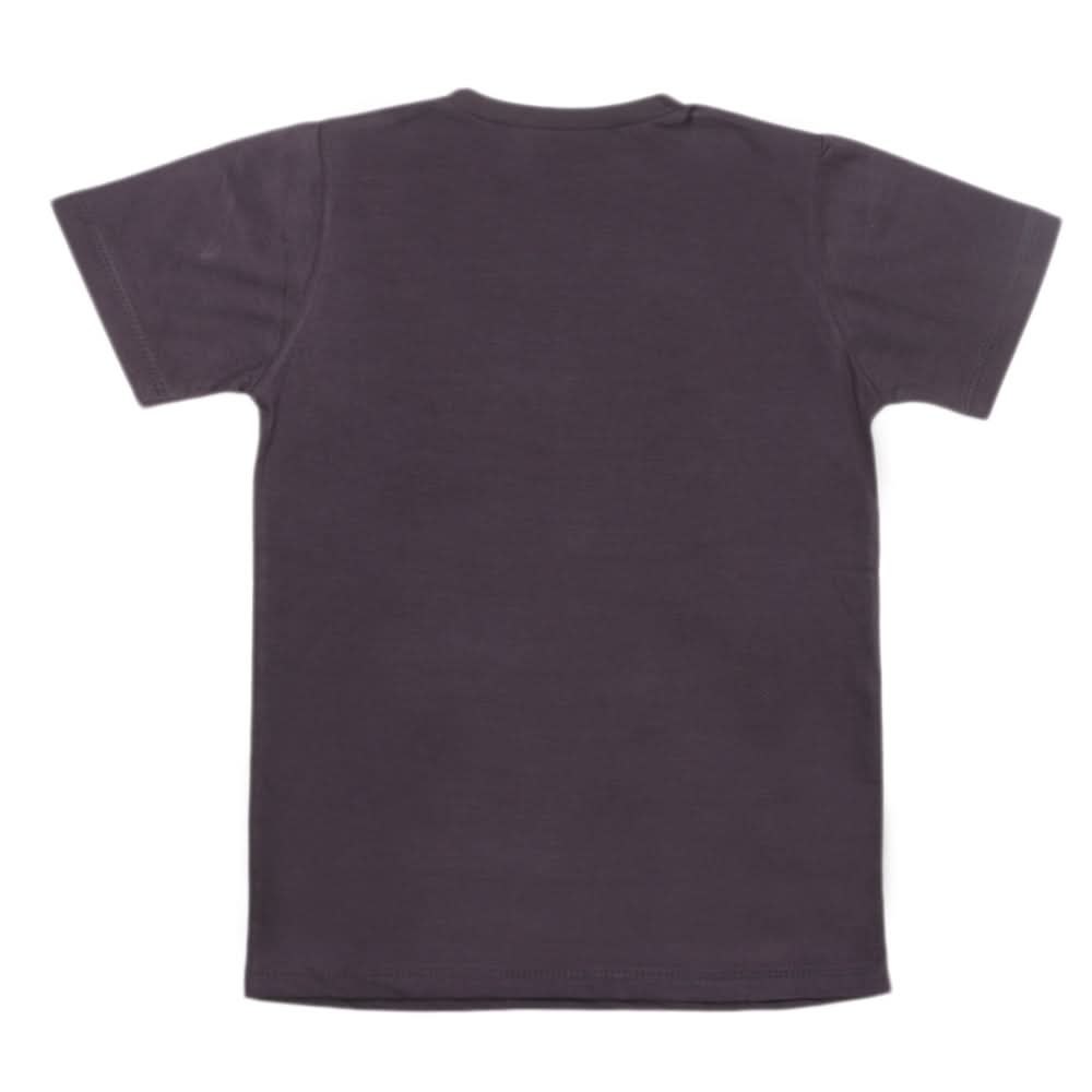 Boys Half Sleeves T-Shirt 3983 - Grey, Kids, Boys T-Shirts, Chase Value, Chase Value