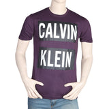 Men's Half Sleeves Round Neck T-Shirt - Purple, Men, T-Shirts And Polos, Chase Value, Chase Value