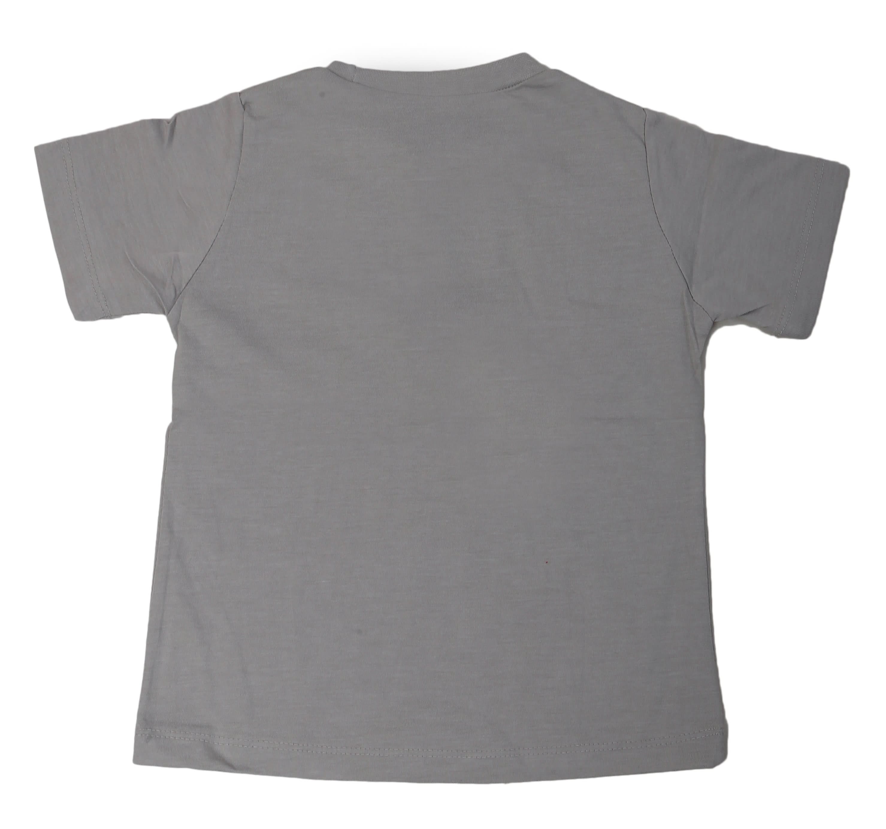 Boys Round Neck Half Sleeves T-Shirt - Grey, Kids, Boys T-Shirts, Chase Value, Chase Value