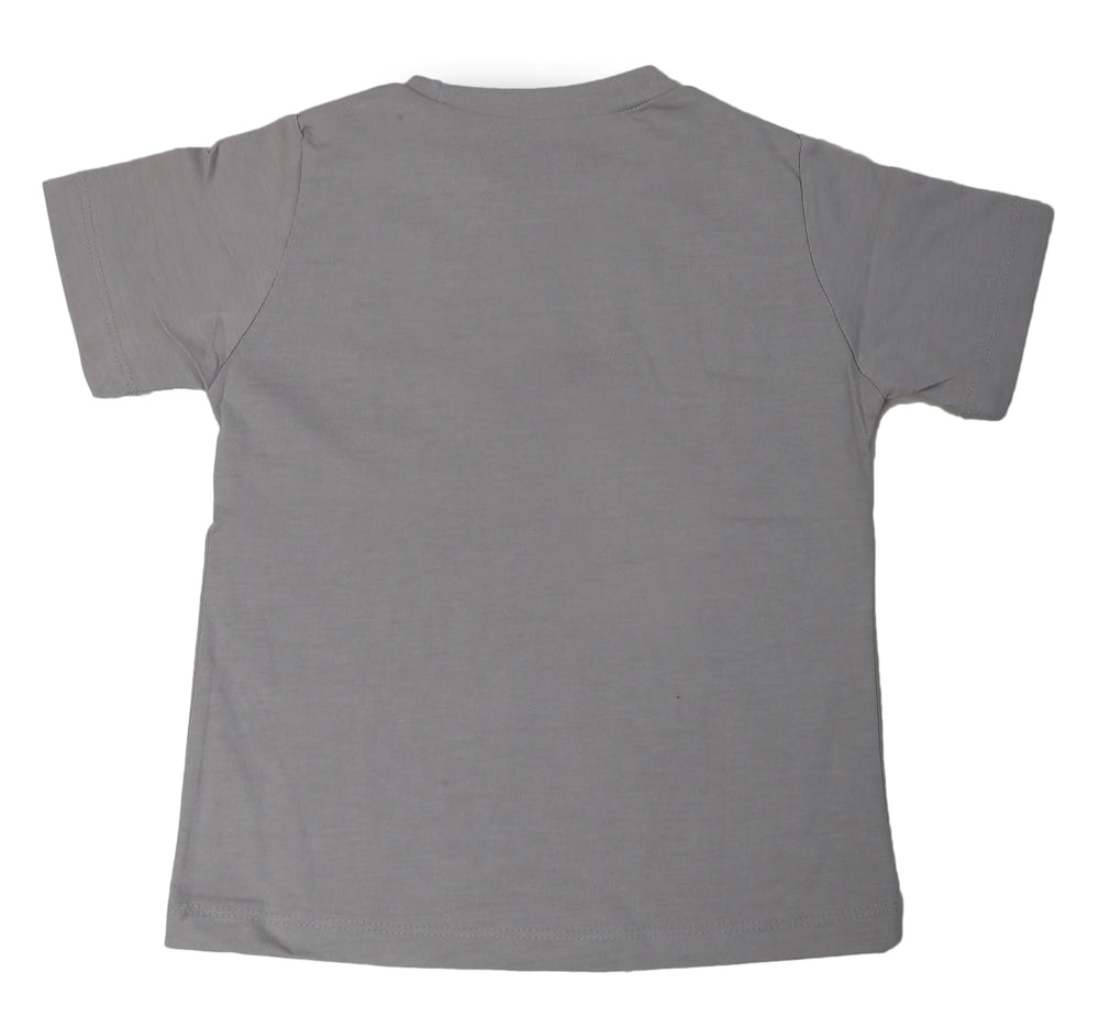 Boys Round Neck Half Sleeves T-Shirt - Grey, Kids, Boys T-Shirts, Chase Value, Chase Value