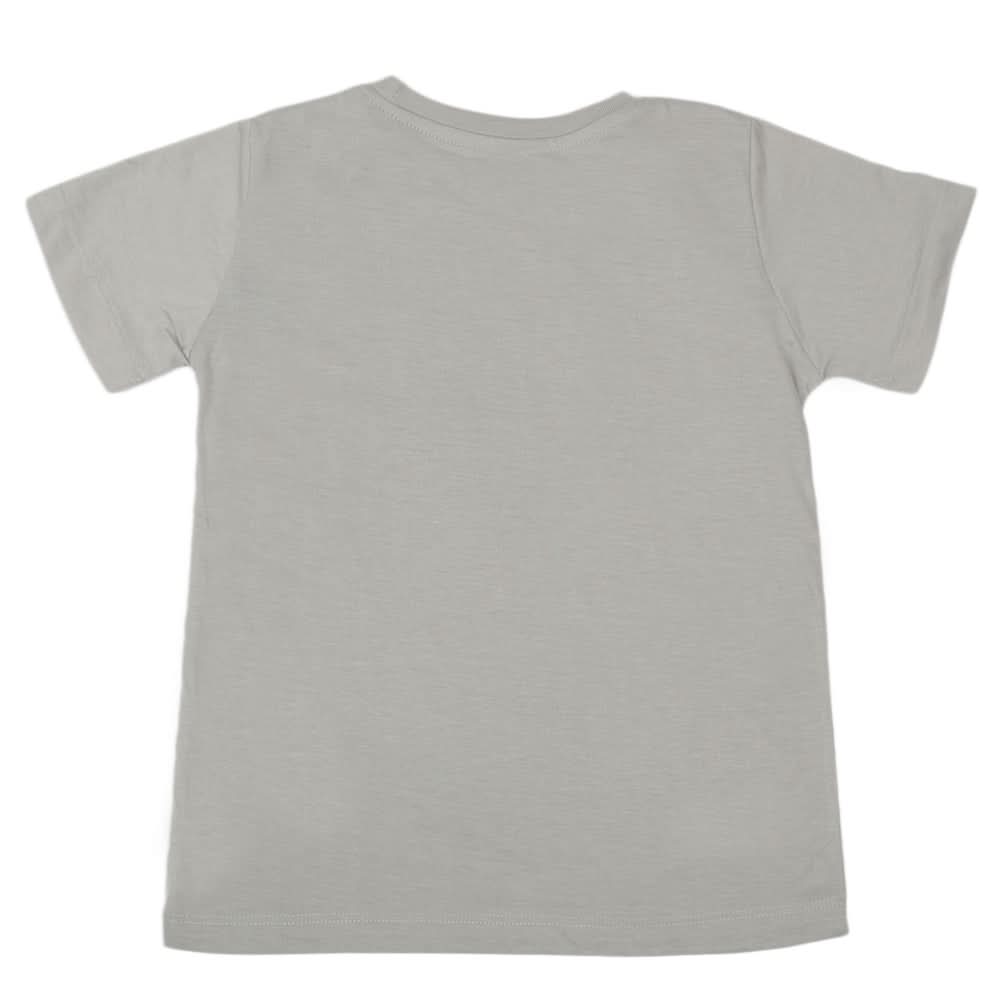Boys Half Sleeves T-Shirt - Grey, Kids, Boys T-Shirts, Chase Value, Chase Value