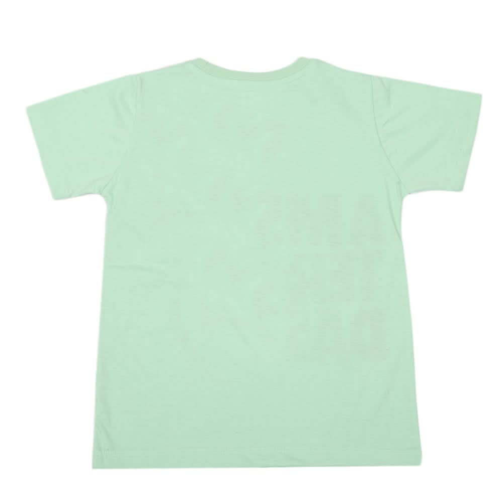 Boys Half Sleeves T-Shirt - Light Green, Kids, Boys T-Shirts, Chase Value, Chase Value