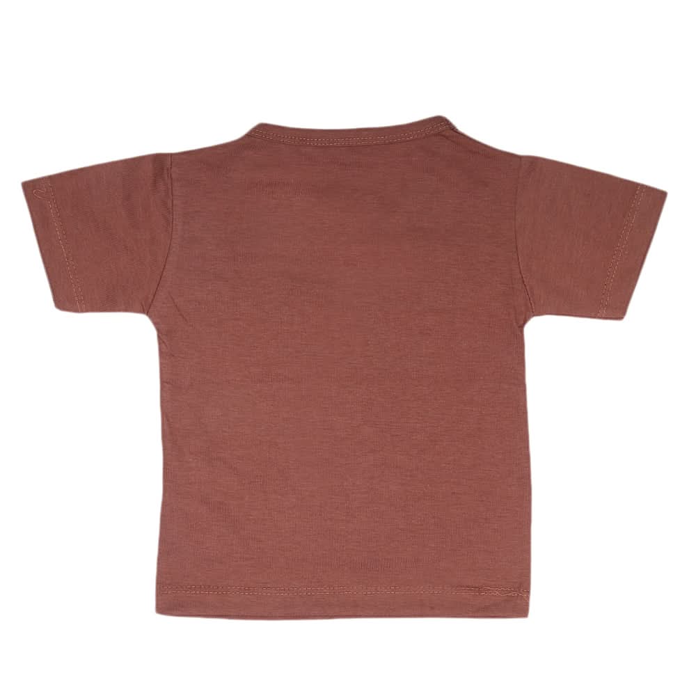 Boys Half Sleeves T-Shirt  14-24 - Brown, Kids, Boys T-Shirts, Chase Value, Chase Value