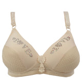 Women's Foam Bra - Fawn, Women Bras, Chase Value, Chase Value