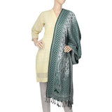 Women's Velvet Print  Peoar Shawl - Green, Women, Shawls And Scarves, Chase Value, Chase Value